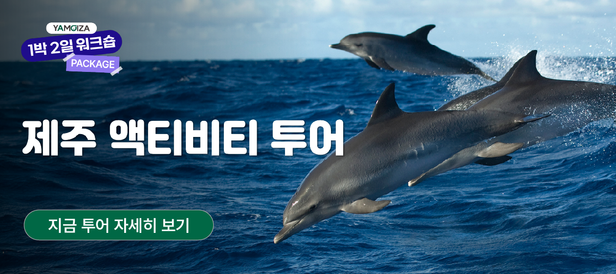 충청   - 제주-액티비