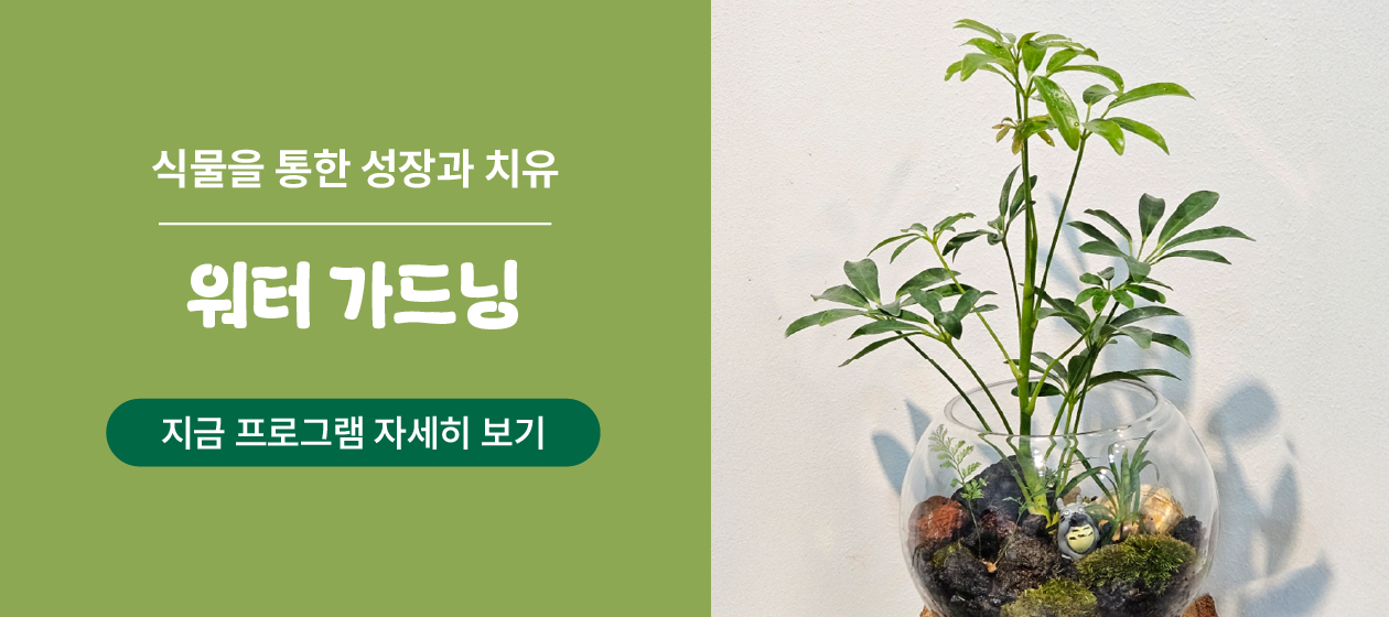 DIY - 워터 가드닝