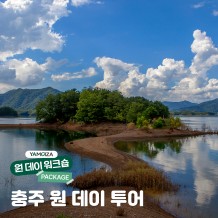 [힐링] 내륙의 바다로 가는 길 '충주 원데이 투어'