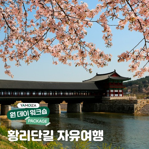 [투어] 신라의 고장 경주, ‘황리단길 자유여행’