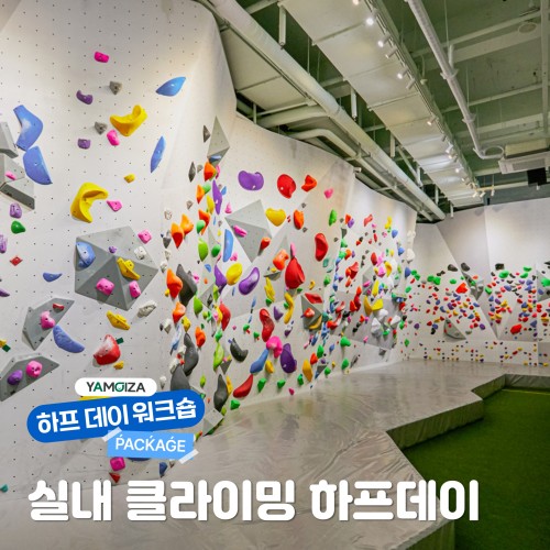 [하프데이] 도심 속 짜릿한 도전! '실내 클라이밍 하프데이'