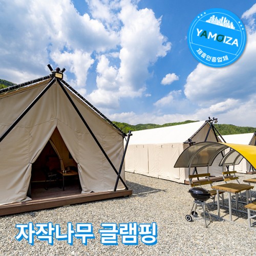 자작나무 글램핑