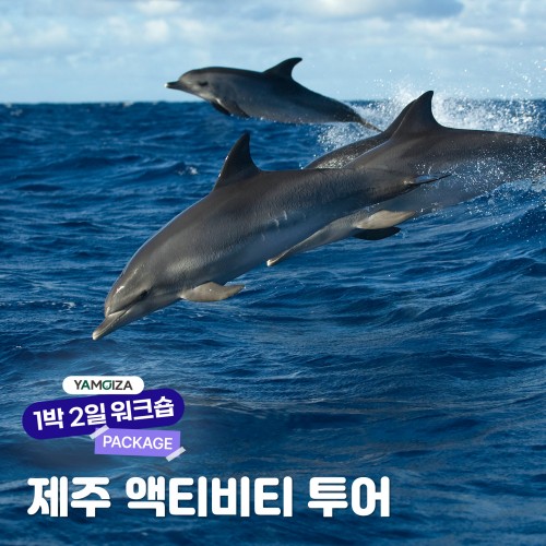 [액티비티] 하와이 저리 가라, '제주 액티비티 투어'
