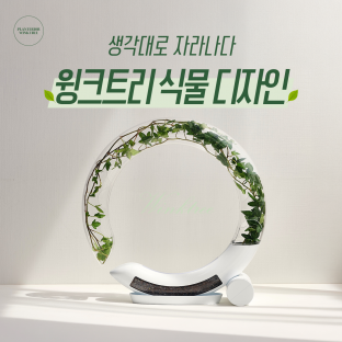 생각대로 자라나다 ‘윙크트리 식물 디자인’